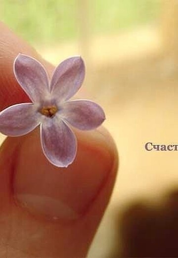 Jenshchina (@nadejda51888) — my photo № 7