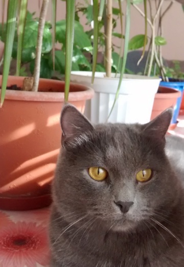 nataliya (@nataliya38867) — my photo № 6